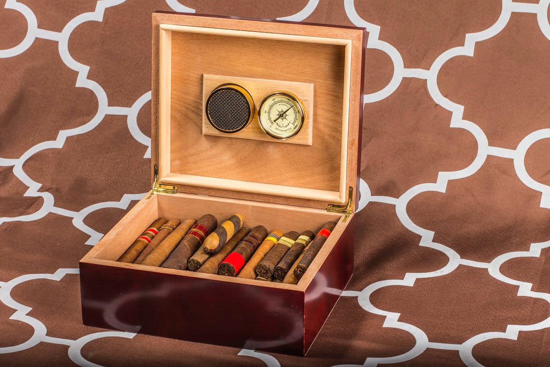 The Perfect First Humidor: A Complete Guide for New Collectors