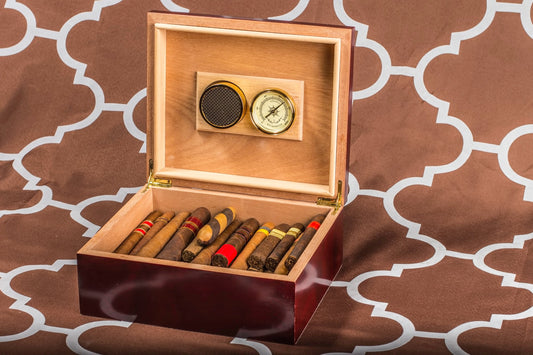 The Perfect First Humidor: A Complete Guide for New Collectors
